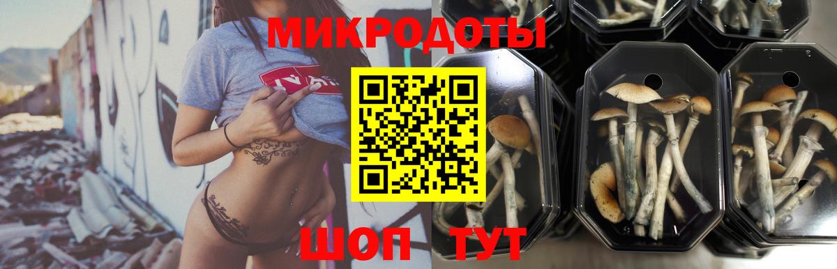 наркотики  Псилоцибиновые грибы мицелий  Вход с VPN  Нижневартовск 